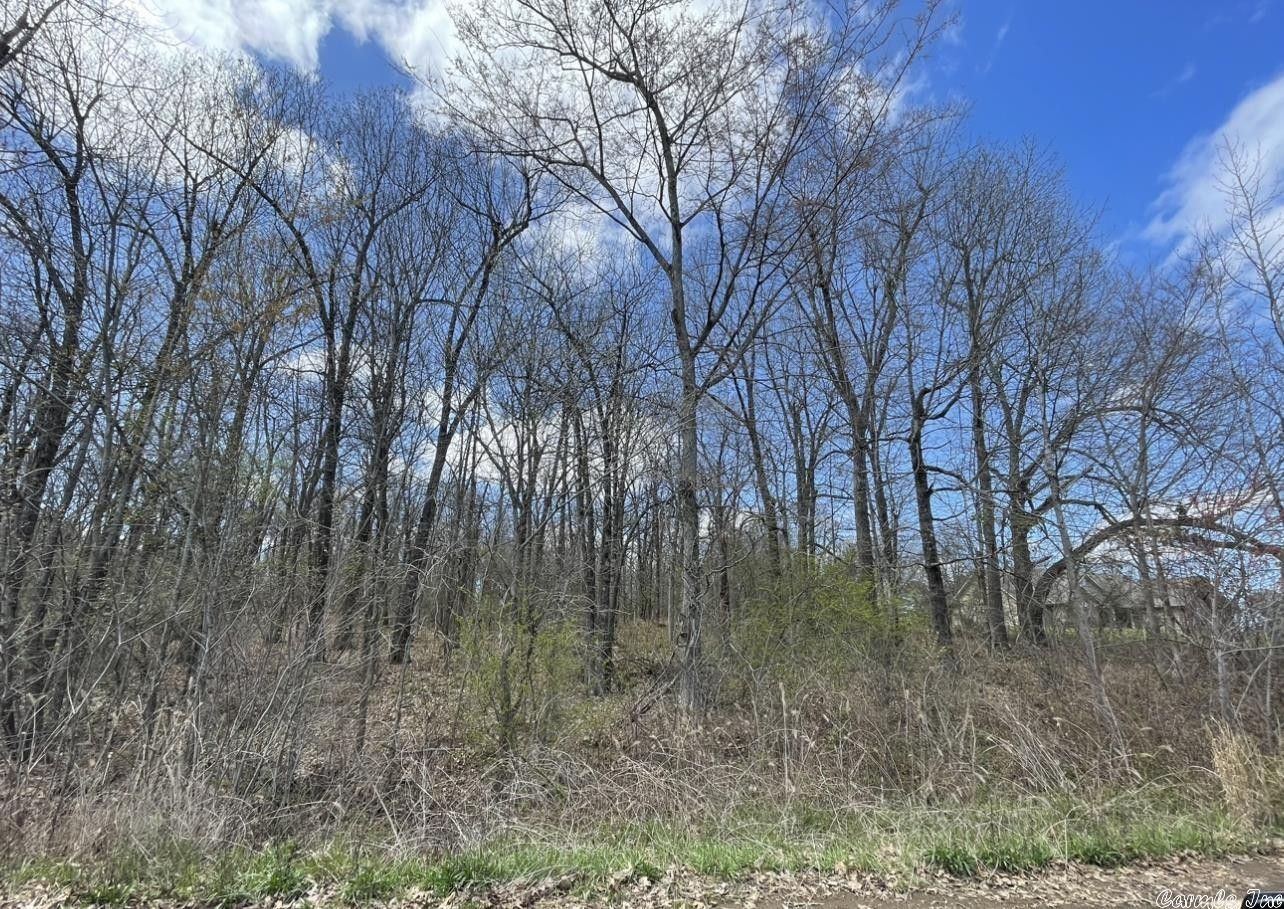 0.9 Acres, Lot 37 Peppertree Village, Brookland, AR 72417 Land and Farm