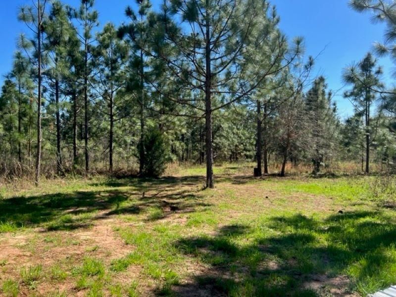 10.53 Acres, 3190 Lower Shellman Road, Shellman, GA 39886 Land and Farm