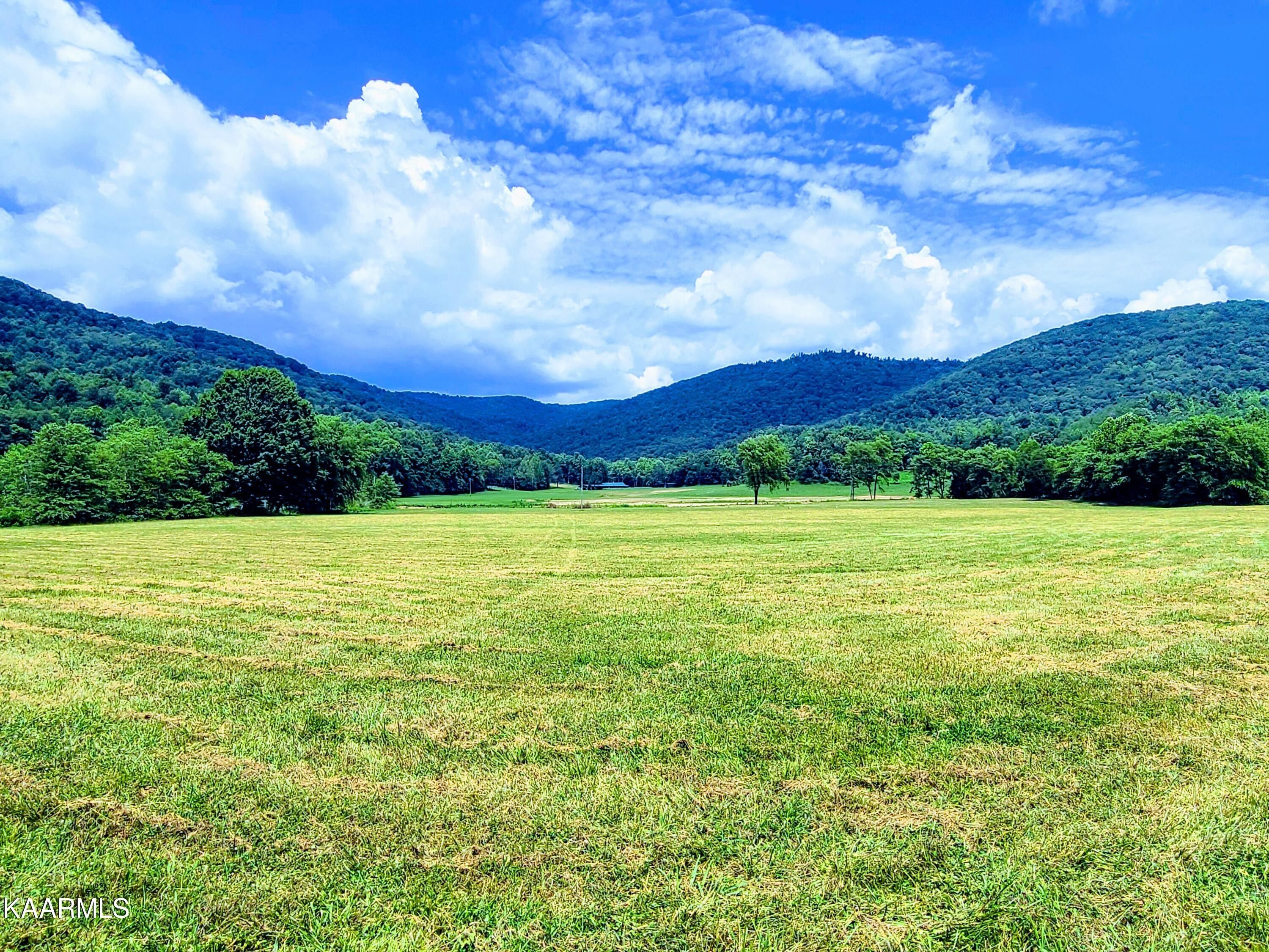 241 Acres, 1191 Lower Jellico Creek Rd, Winfield, TN 37892 Land and Farm