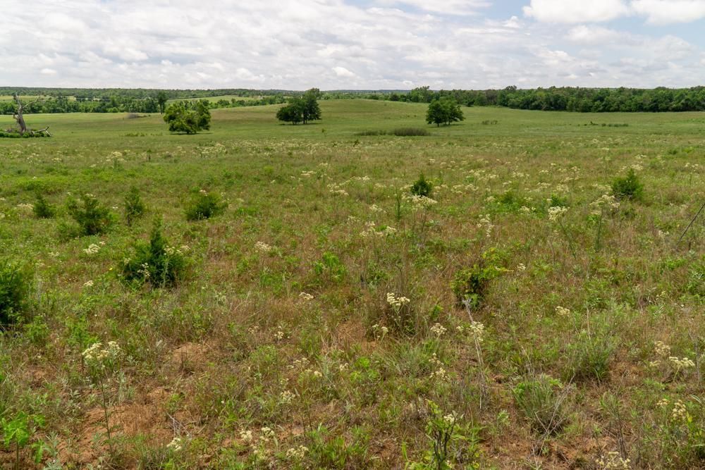 80 Acres, 0000 NE King Rd., Fletcher, OK 73541 Land and Farm