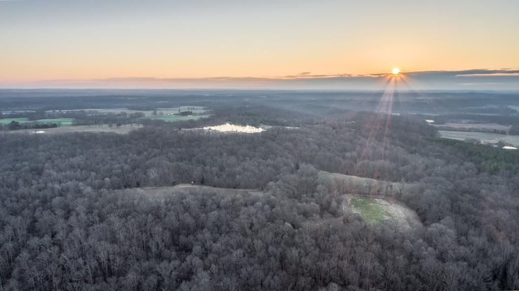 75 Acres, 000 Burns Road, Dongola, IL 62926 Land and Farm