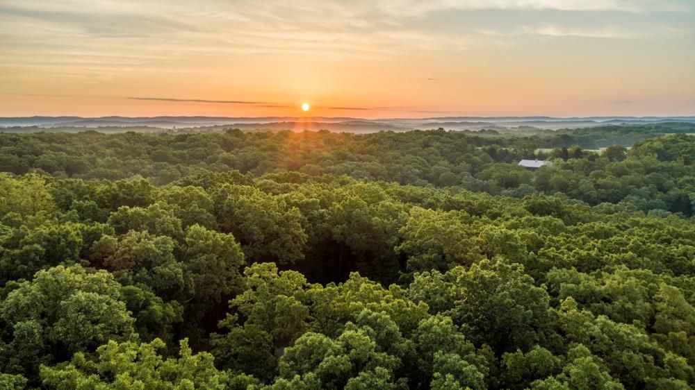 51 Acres, 000 Ditch Road, Bloomsdale, MO 63627 Land and Farm