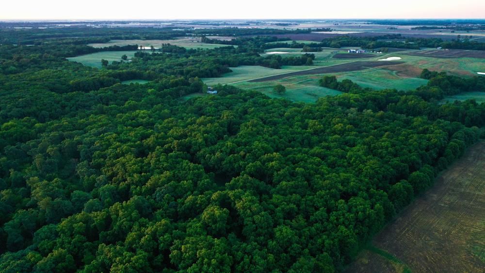 40 Acres, 3596 Shelby 324, Shelbina, MO 63468 Land and Farm