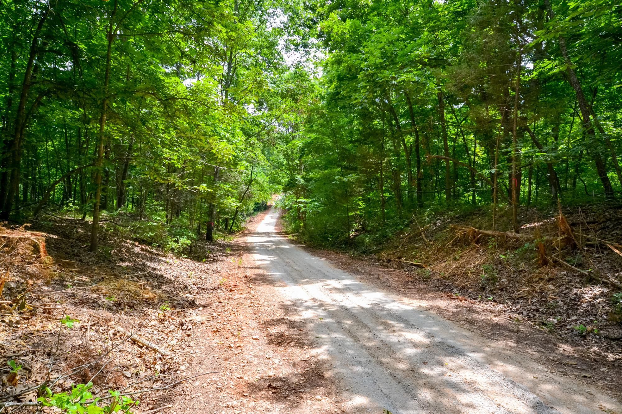 10 Acres, 000 Union Ridge Road, Clever, MO 65631 Land and Farm
