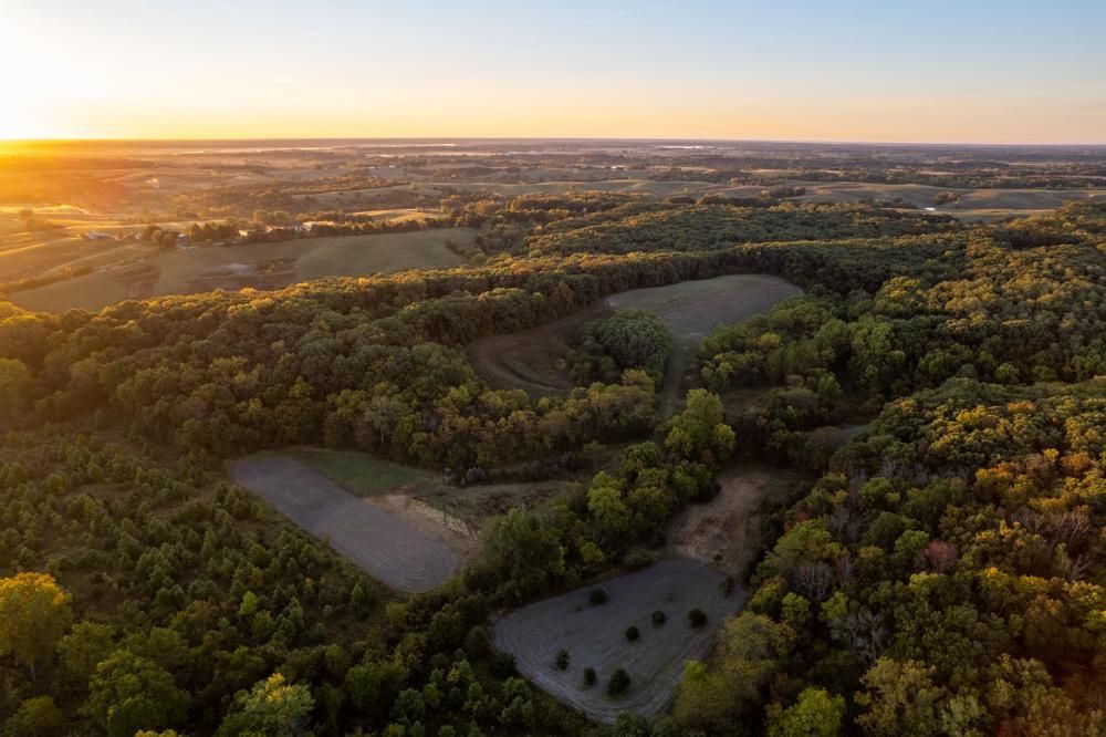 111 Acres, 0000 263rd Ave, Exline, IA 52555 Land and Farm
