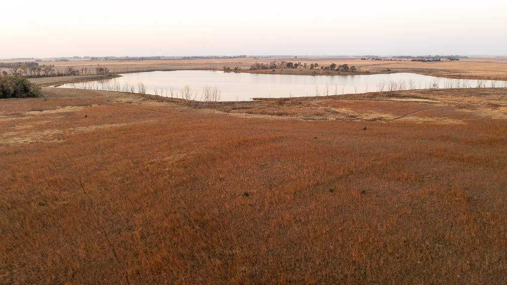 138 Acres, 00000 459th Ave., Nunda, SD 57050 Land and Farm