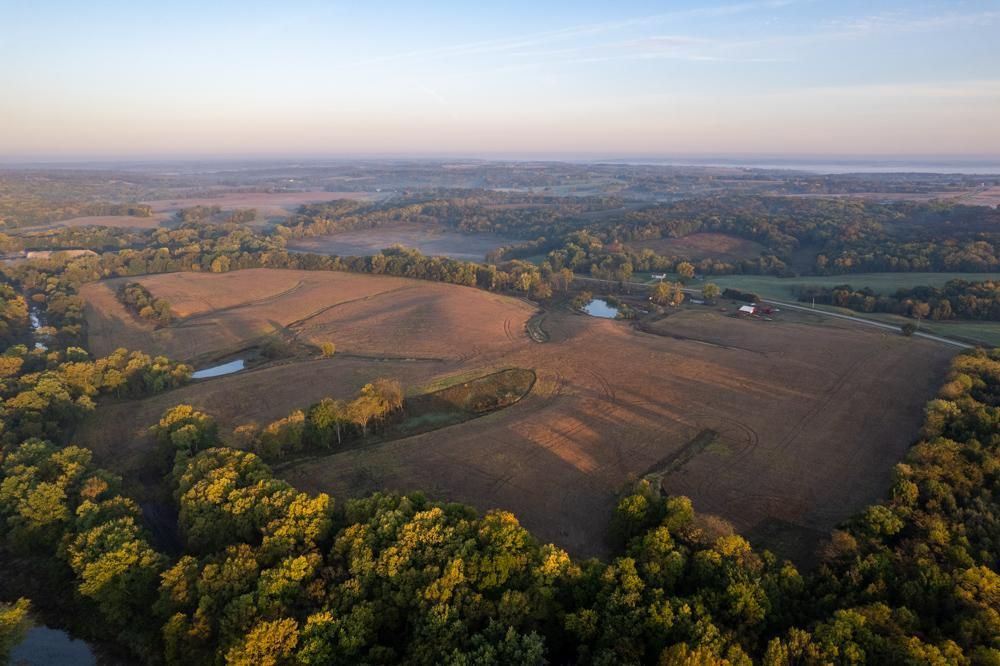 96 Acres, 19010 195th Street, Keosauqua, IA 52565 Land and Farm