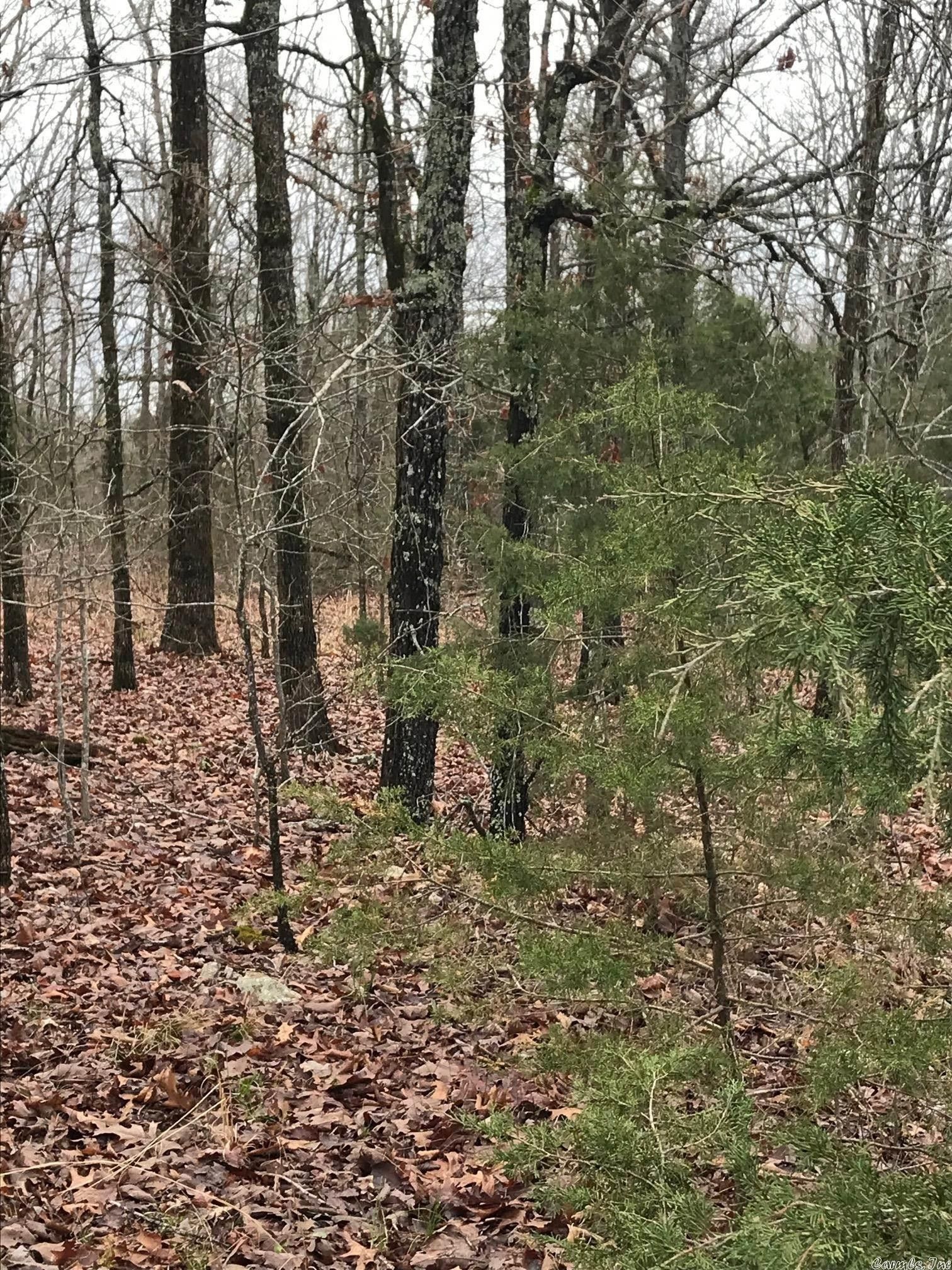 17.8 Acres, TBD Barnes Road, Evening Shade, AR 72542 Land and Farm