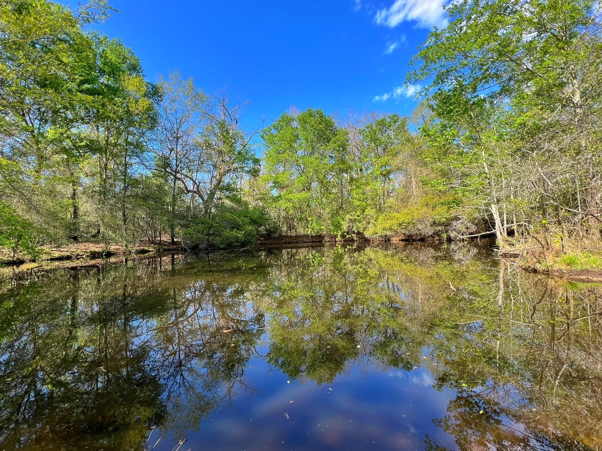 PR 4255, Marquez, TX 77865 Land and Farm