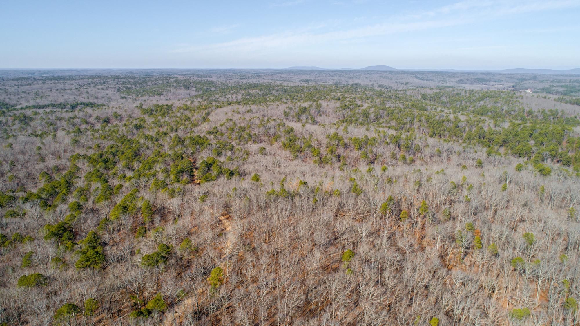 45 Acres, 0000 County Road 373, Williamsville, MO 63901 Land and Farm