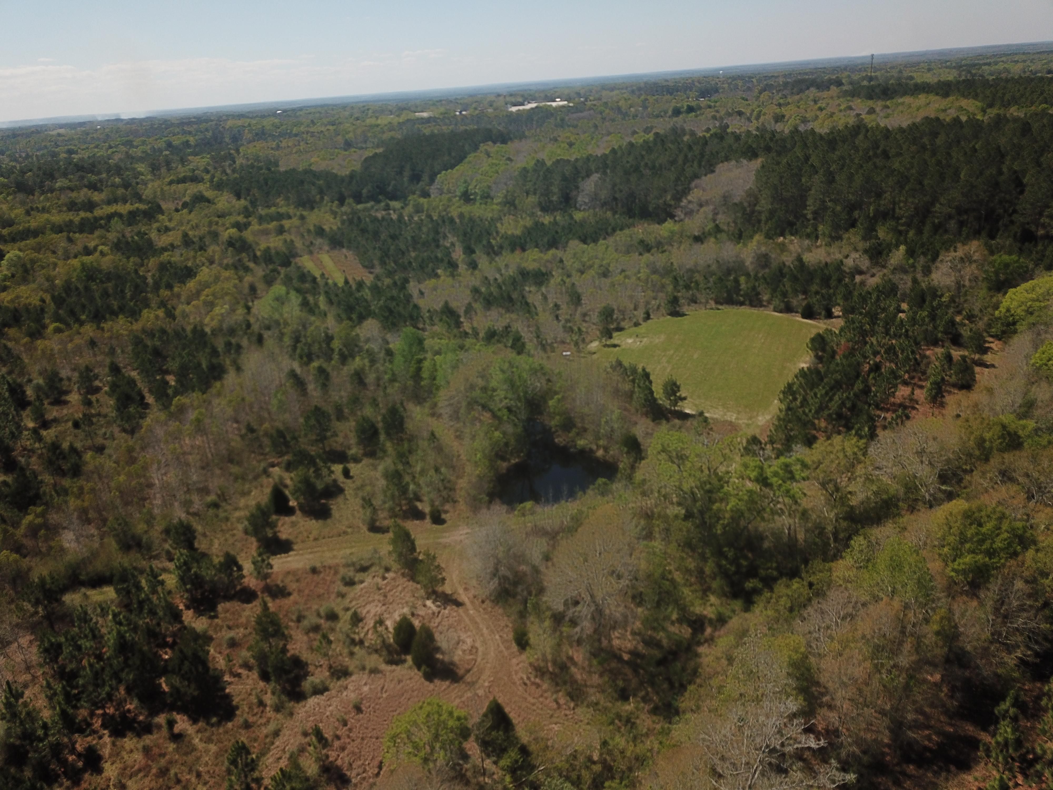 190 Acres, Coffee Springs Road, Samson, AL 36477 Land and Farm
