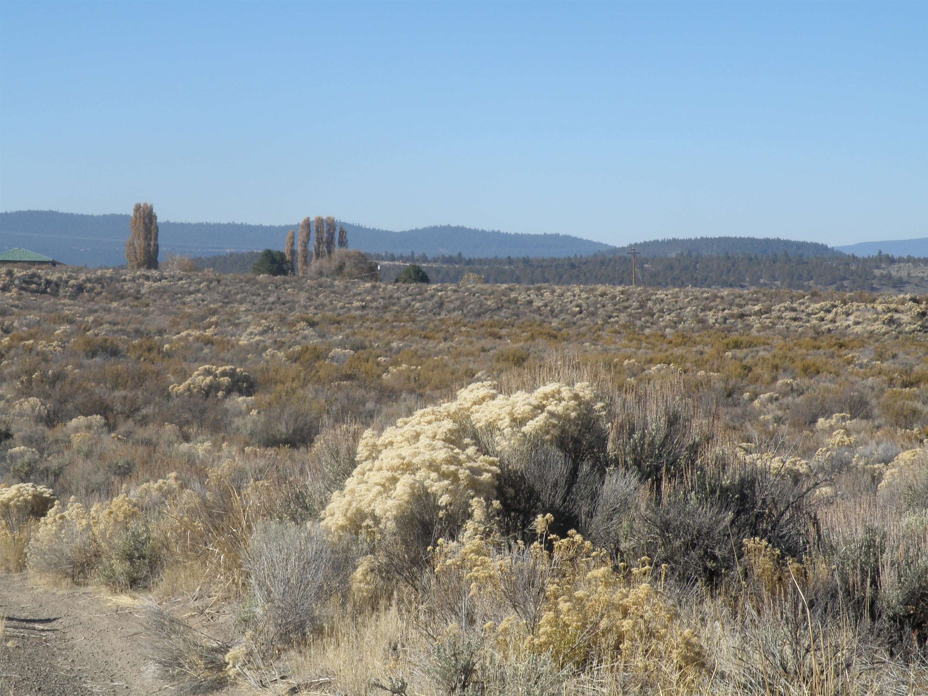 17.5 Acres, Tl500 HWY 140 Grany Hoe Rd, Beatty, OR 97621 Land and Farm