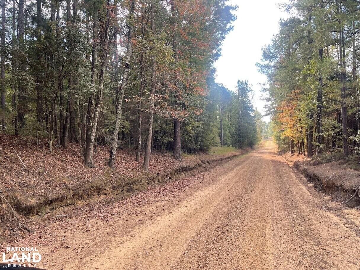 125 Acres, 0 Attala Rd 4127, Sallis, MS 39160 Land and Farm