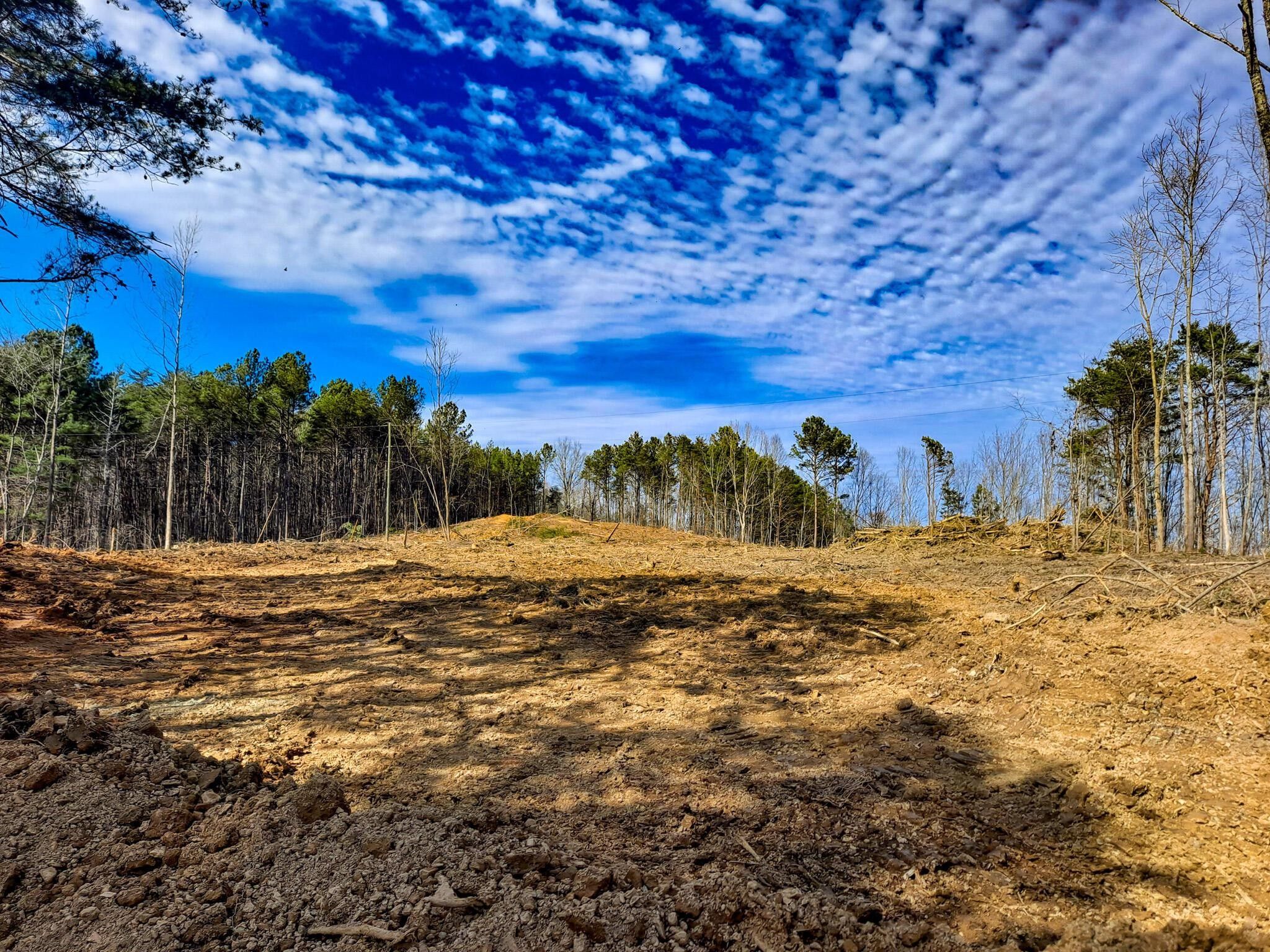 6.5 Acres, OLD TUSCALOOSA ROAD, JASPER, A, Jasper, AL 35501 Land and Farm