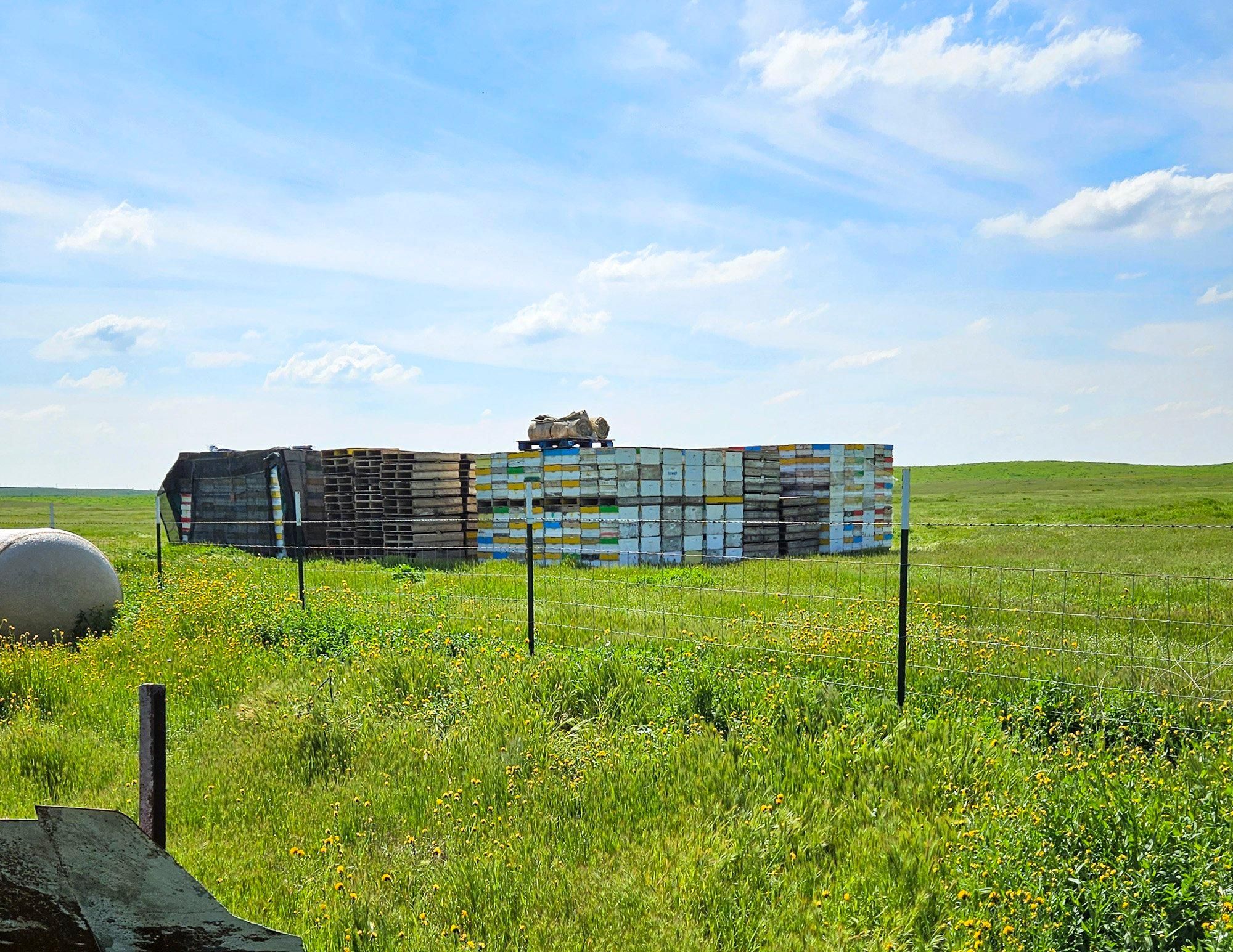 35523 Garces Highway, Delano, CA 93215 Land and Farm