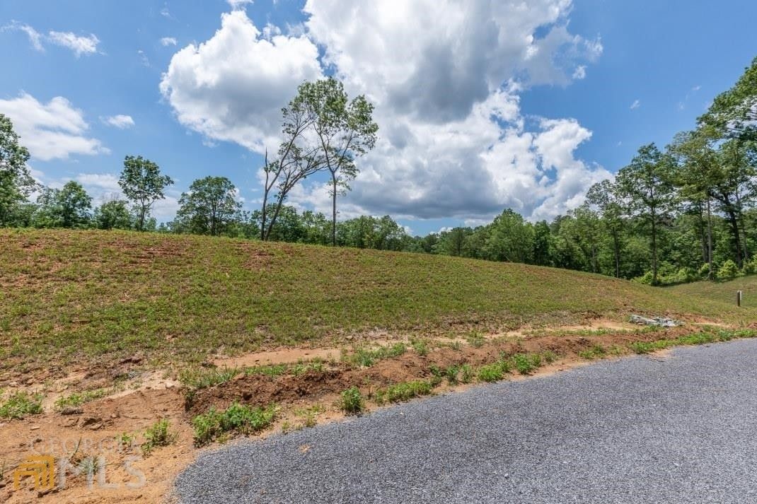 3.49 Acres, LT167 High River, Ellijay, GA 30540 Land and Farm