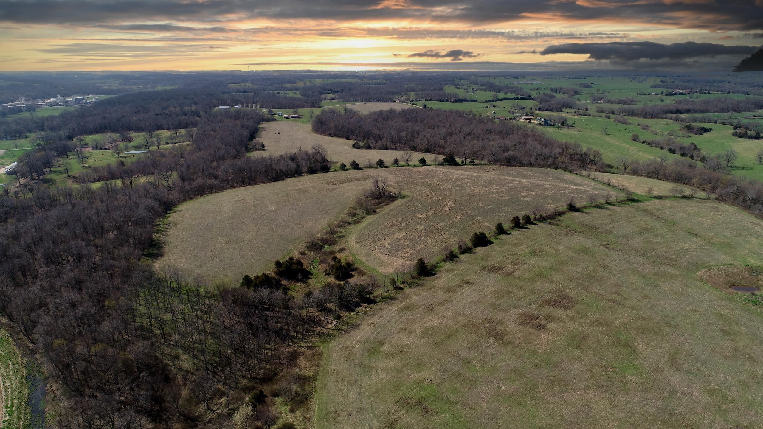 93.55 Acres, County Road 2210, Lot WP001, Verona, MO 65769 Land and Farm