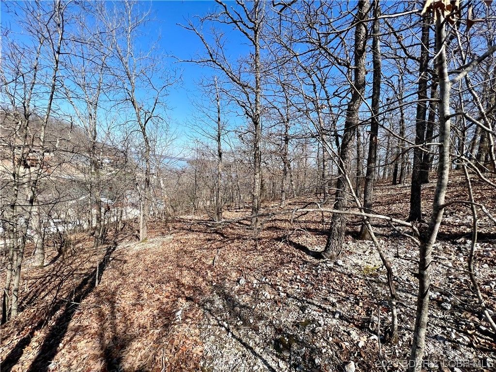 5.7 Acres, Lots 7,8,9 East Shores Add, Roach, MO 65787 Land and Farm