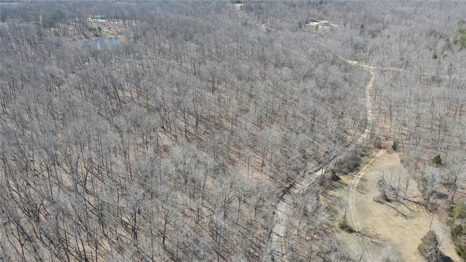 31.3 Acres, 0 BCR 926, Patton, MO 63775 Land and Farm