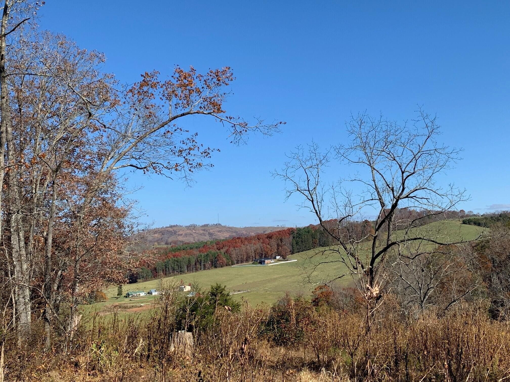 15.63 Acres, 537 Mayfair Lane, Hinton, WV 25951 Land and Farm
