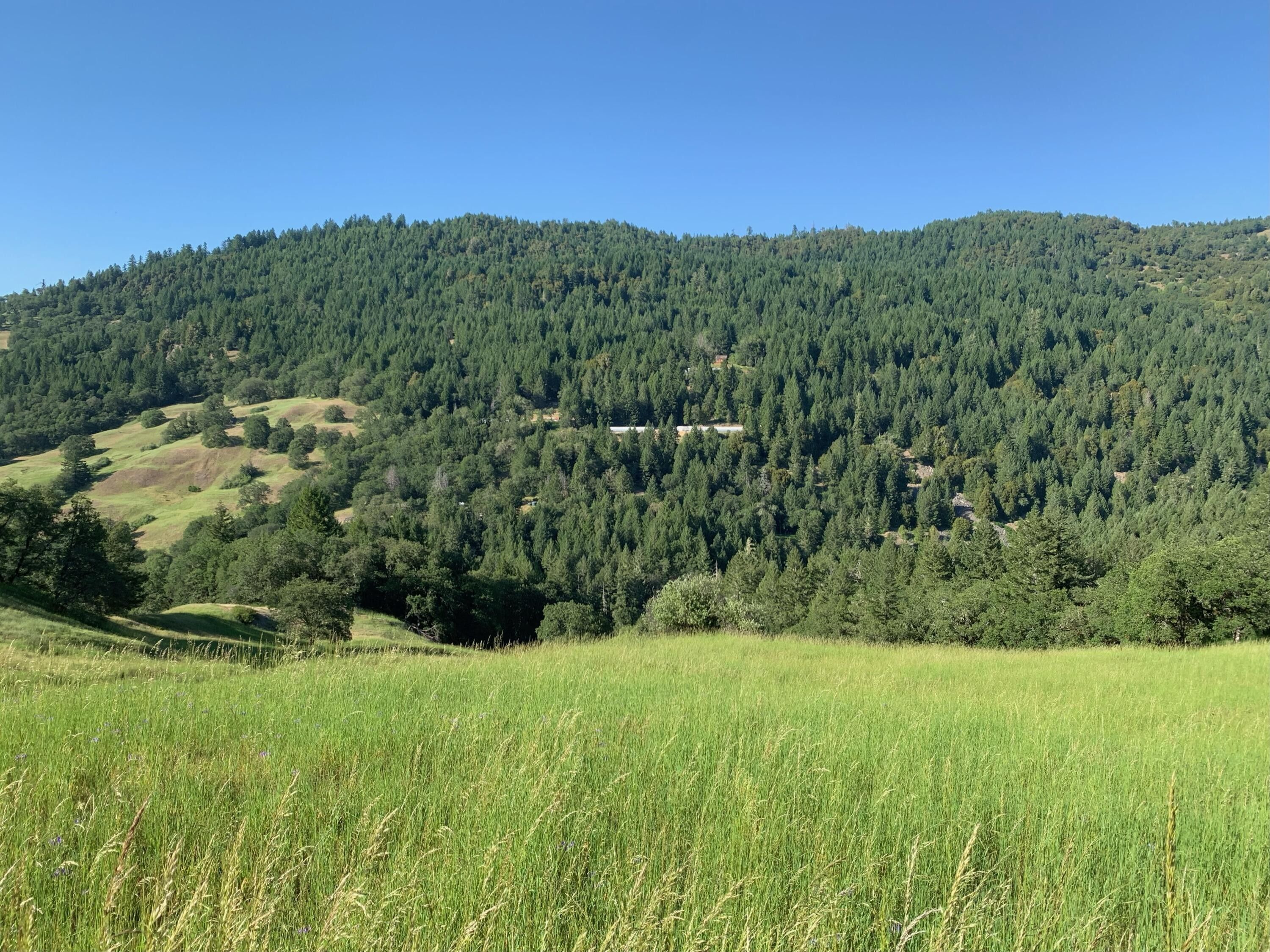 40 Acres, 500 Shire Lane, Bridgeville, CA 95526 Land and Farm