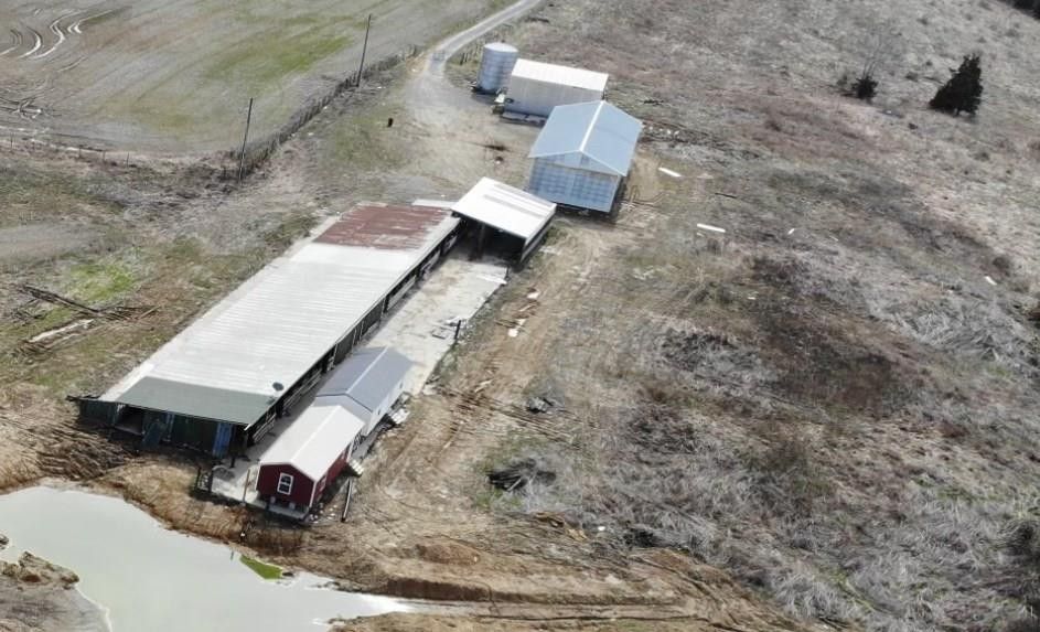 43 Acres, 2458 Ribolt Epworth Rd, Tollesboro, KY 41189 Land and Farm