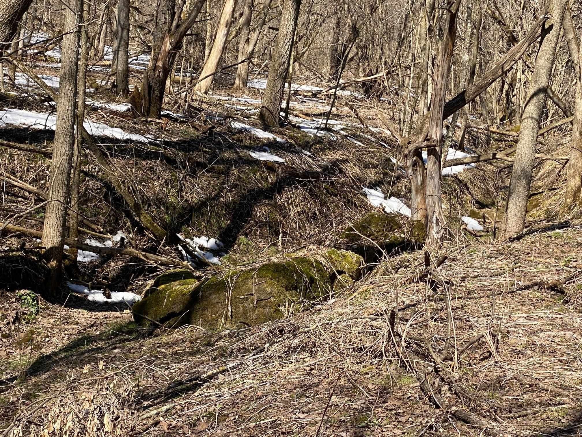 41 Acres, 41 Ac Hwy 154, Cazenovia, WI 53924 Land and Farm