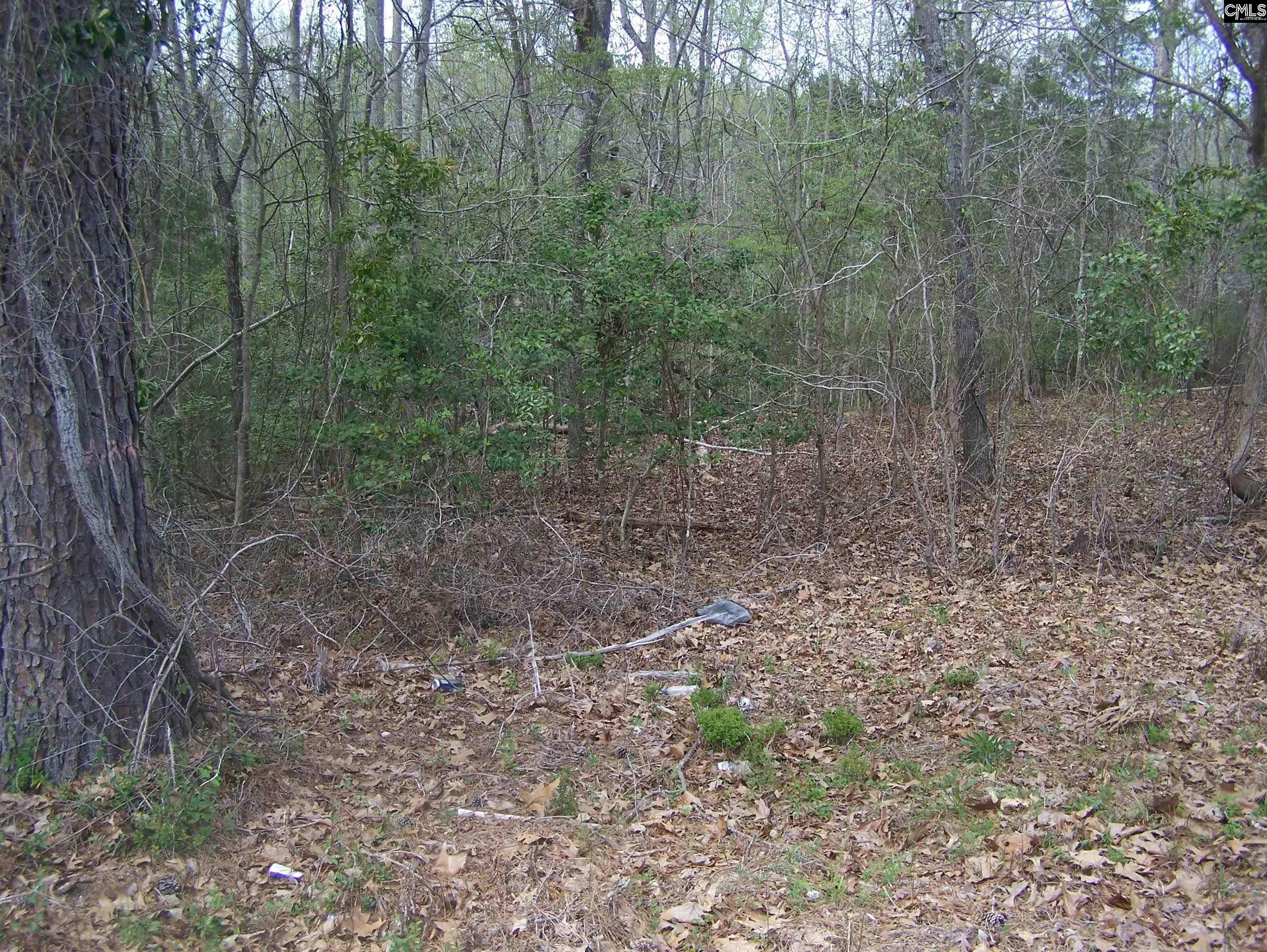 16.01 Acres, TBD Reservoir & Jackson Creek Road, Winnsboro, SC 29180