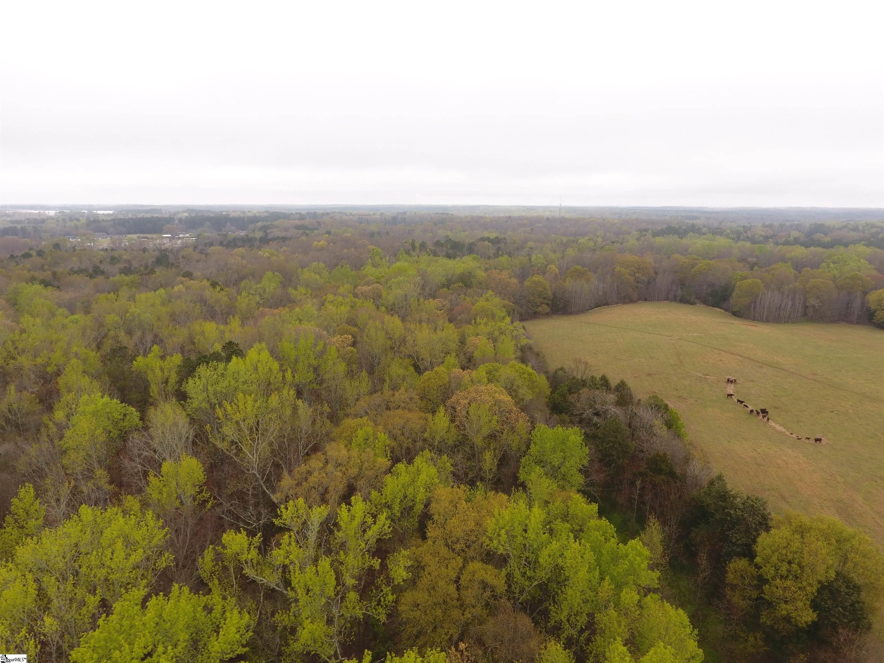 24 Acres, 1049 Highway 49, Laurens, SC 29630 Land and Farm