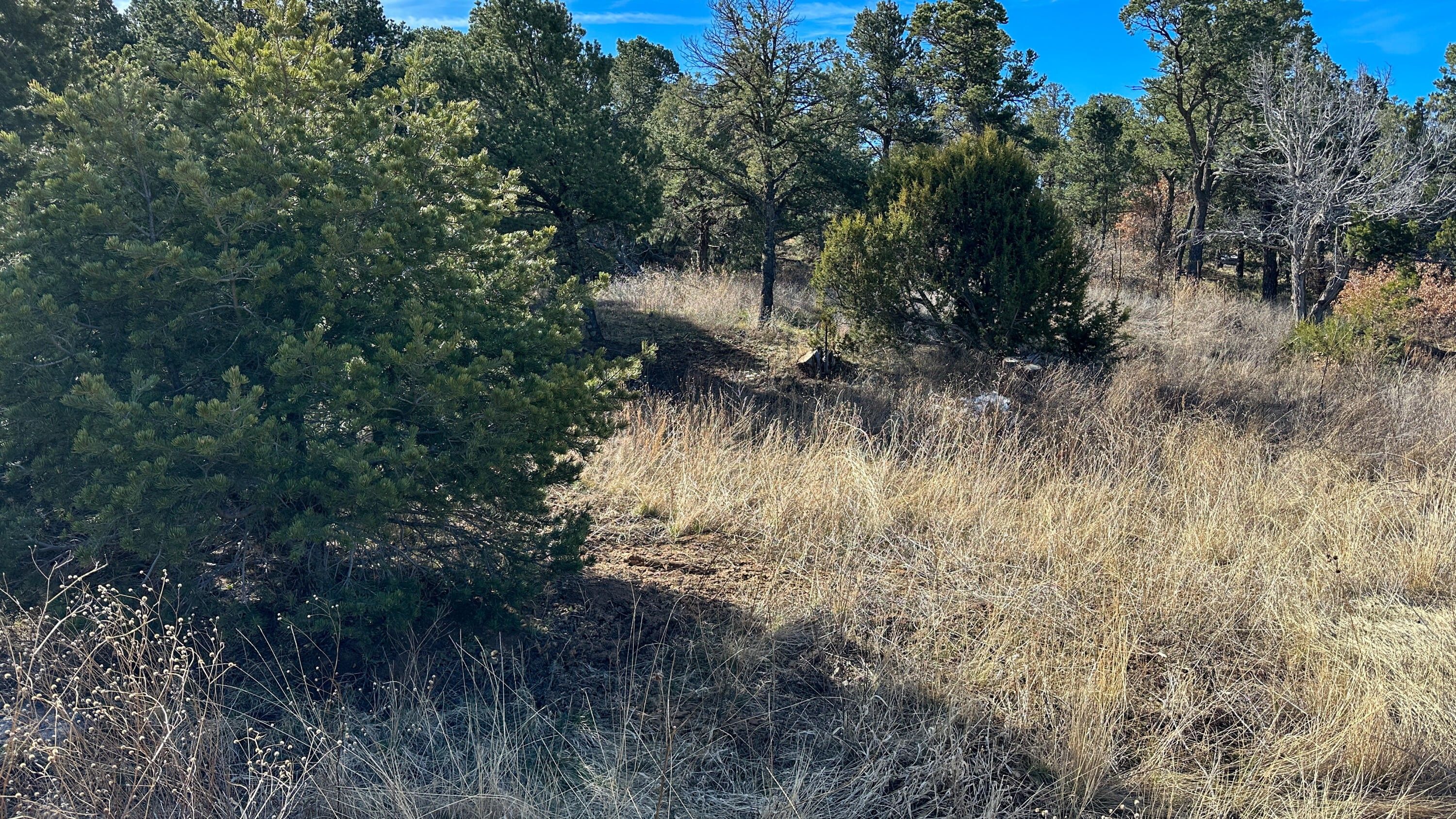4.56 Acres, 172 Pinon Trail, Cedar Crest, NM 87008 Land and Farm