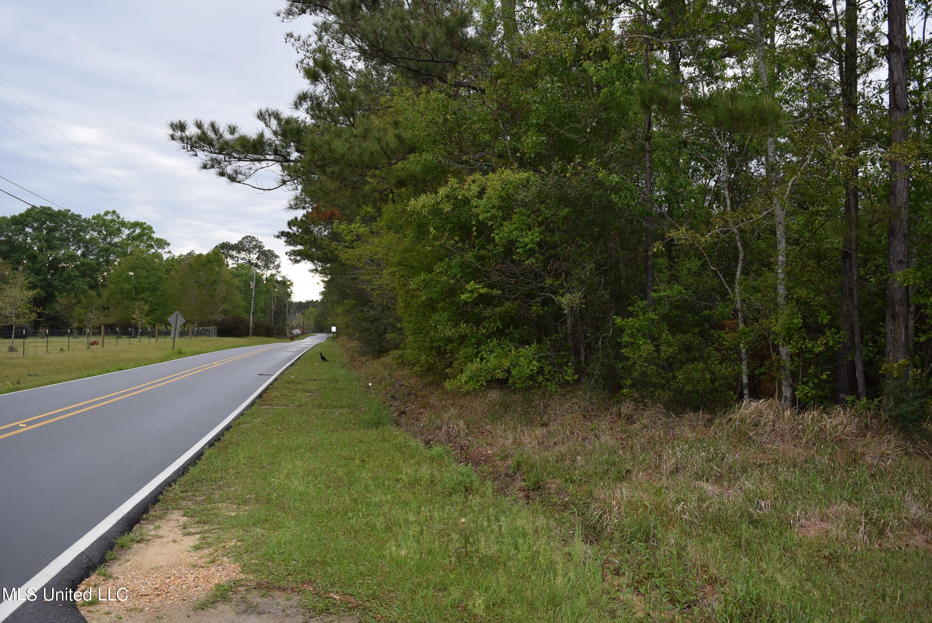 171 Acres, W Wortham Road, Saucier, MS 39574 Land and Farm