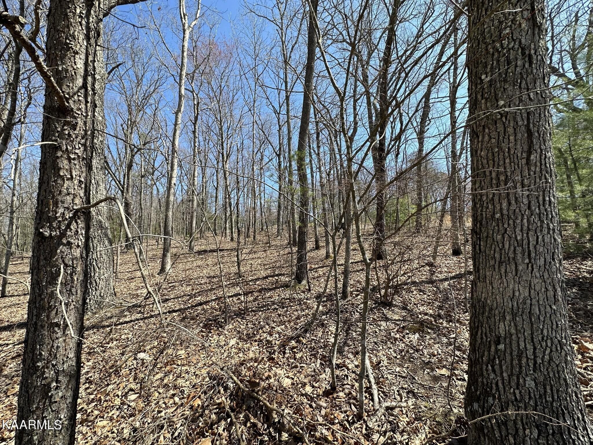 0.51 Acres, 101 Valarian Drive, Crossville, TN 38558 Land and Farm