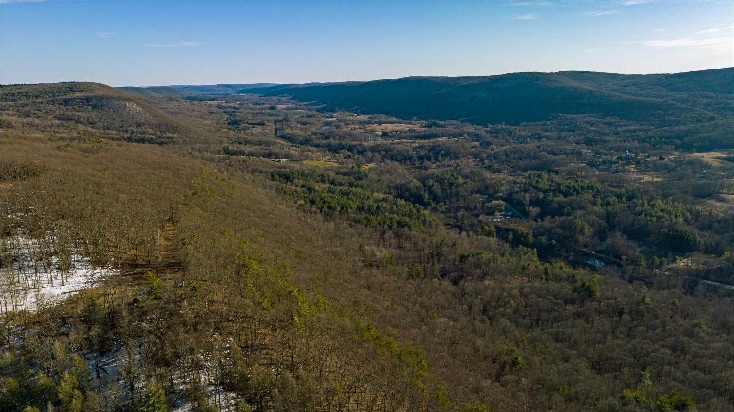 73.49 Acres, Brown Road, West Danby, NY 14883 Land and Farm