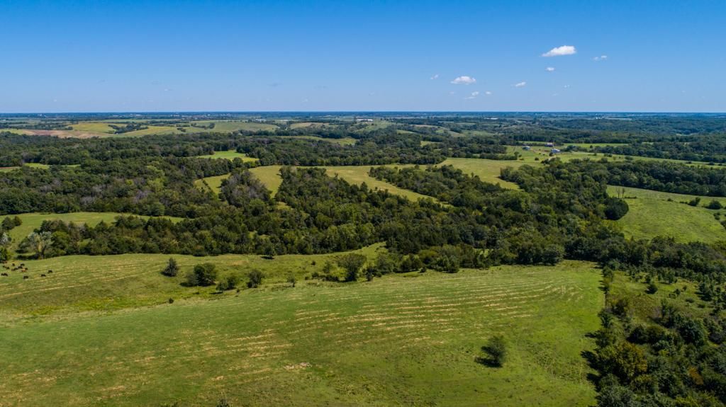 80 Acres, 0000 710th Ave., Blakesburg, IA 52536 Land and Farm