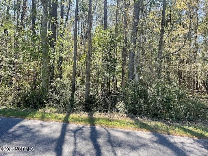 2.42 Acres, 207 Island Creek Drive, Wilmington, NC 28411 Land and Farm