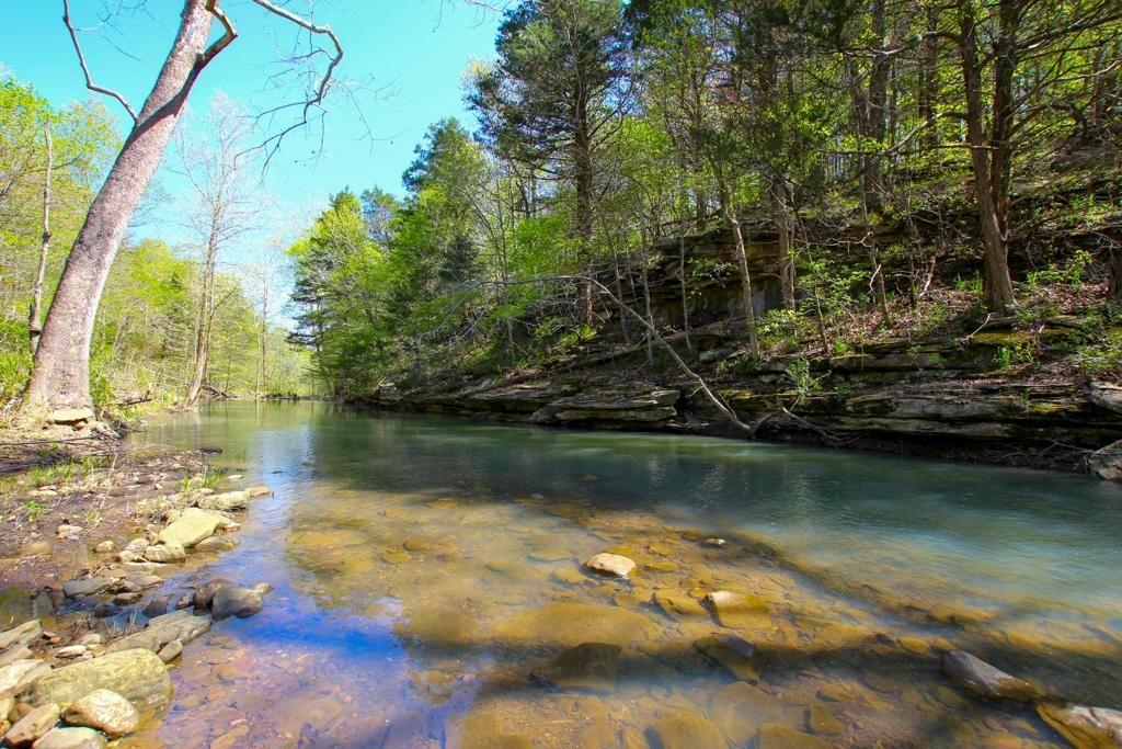 32 Acres, 0000 CR 916, Green Forest, AR 72638 Land and Farm