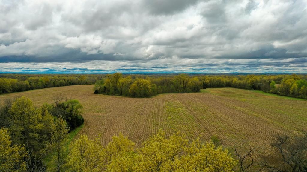 60 Acres, 000 Pike 457, Curryville, MO 63339 Land and Farm