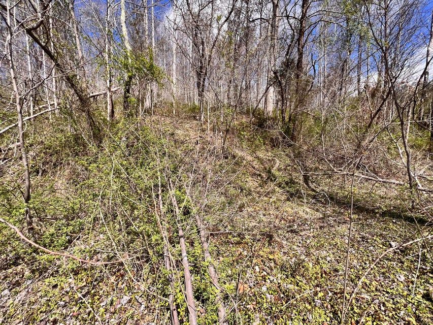 3.06 Acres, 10 Route 7, Sandy Hook, KY 41171 Land and Farm