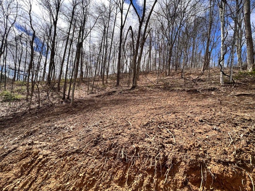 170 Acres, 3423 KY 7, Sandy Hook, KY 41171 Land and Farm