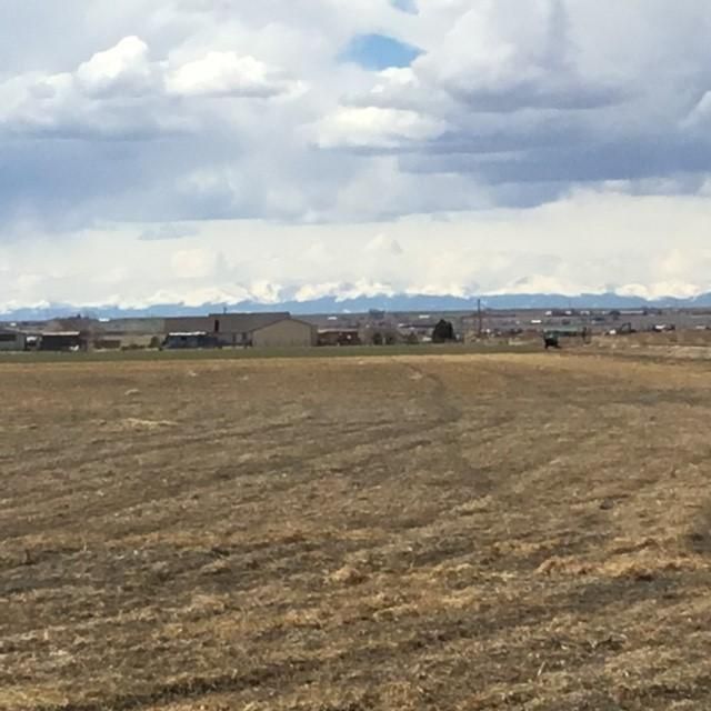134.52 Acres, Keenesburg, CO 80643 Land and Farm