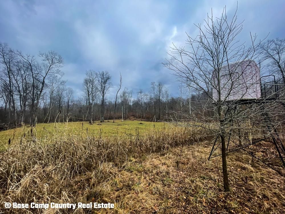 250 Acres, Indiana 450, Shoals, IN 47581 Land and Farm