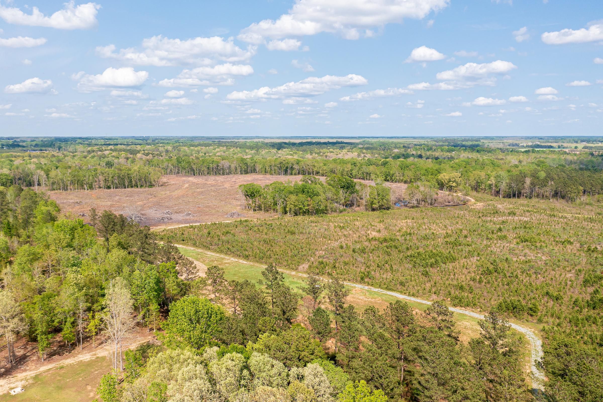 Brown Hill Road, Elko, GA 31025 MLS 20108485 Land and Farm