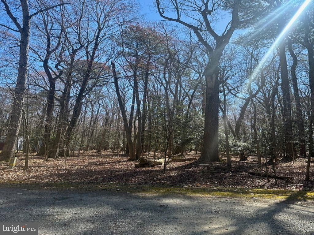 0.67 Acres, Lot 2 PINE CONE DRIVE, Bridgeville, DE 19933 Land and Farm