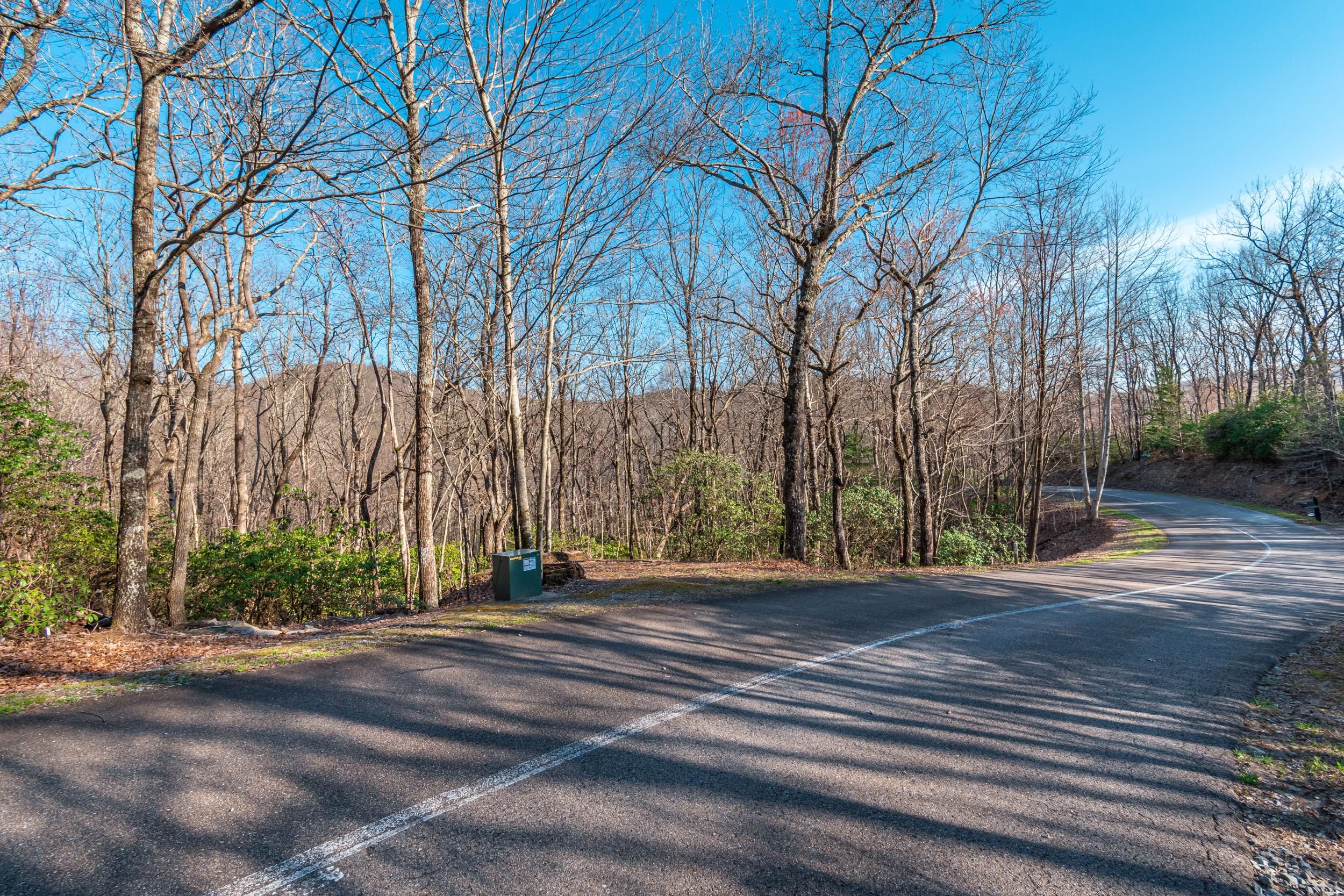 3.5 Acres, 3.5AC St. Andrews Way, Ellijay, GA 30536 Land and Farm