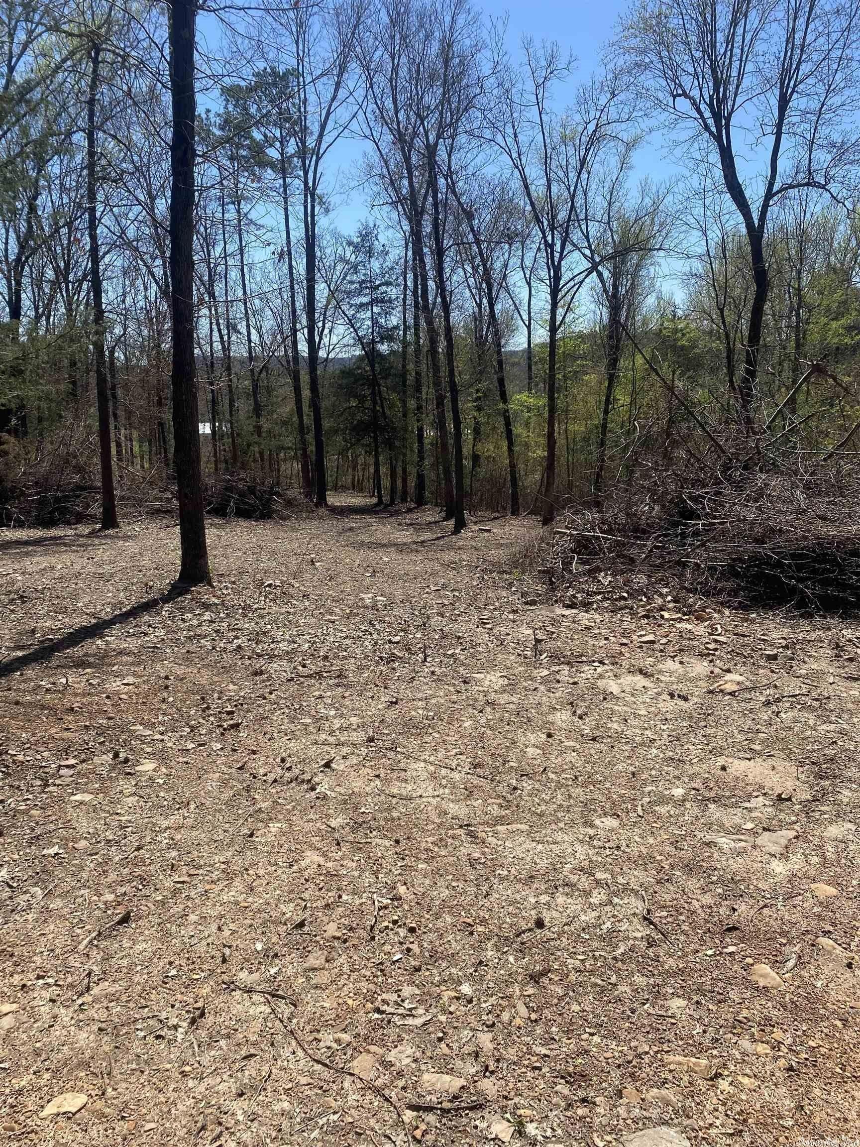 3.67 Acres, Hagarville, AR 72846 Land and Farm