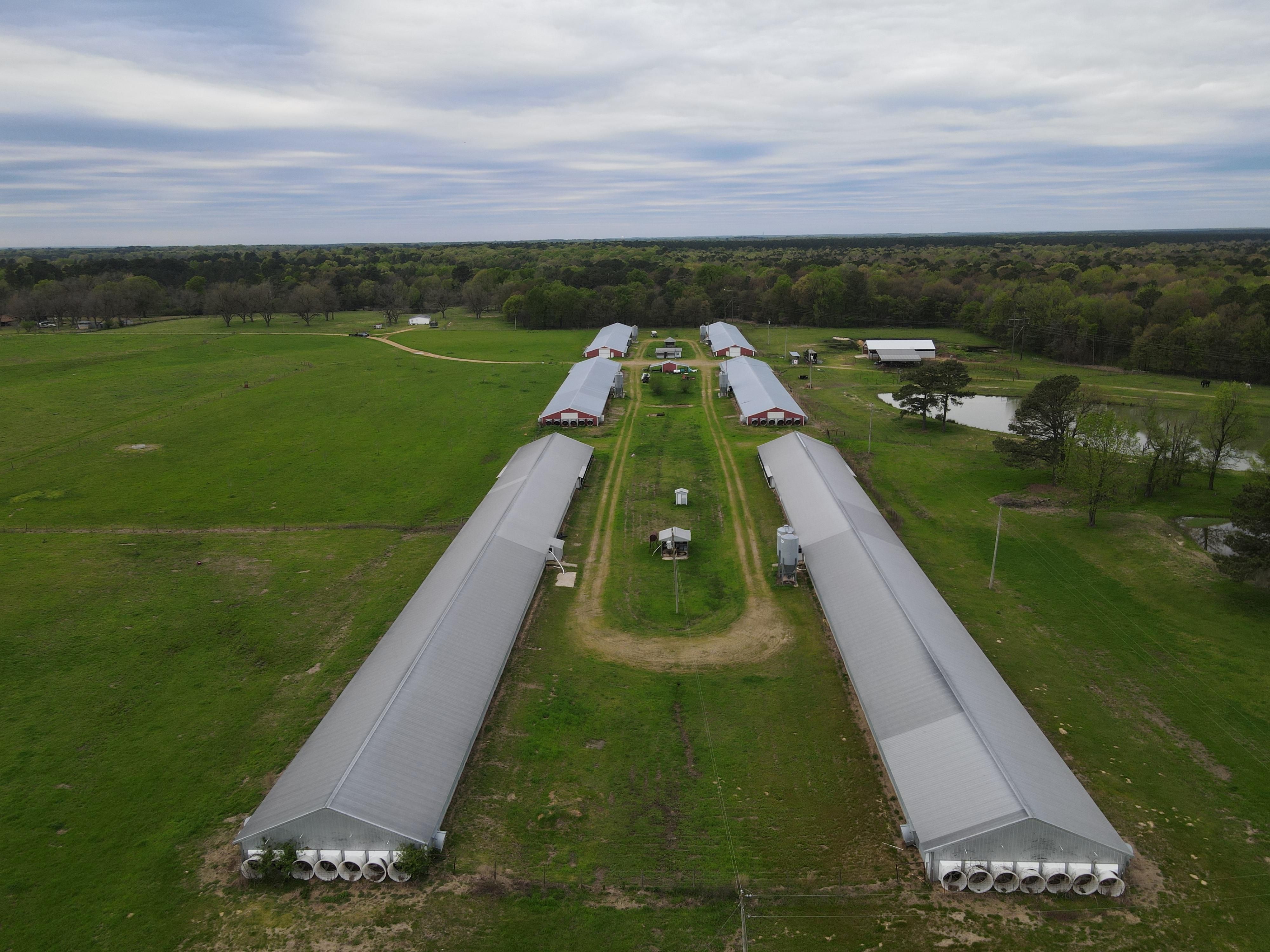 154 acres in Ashdown, AR, 71822 MLS 111679 Land and Farm