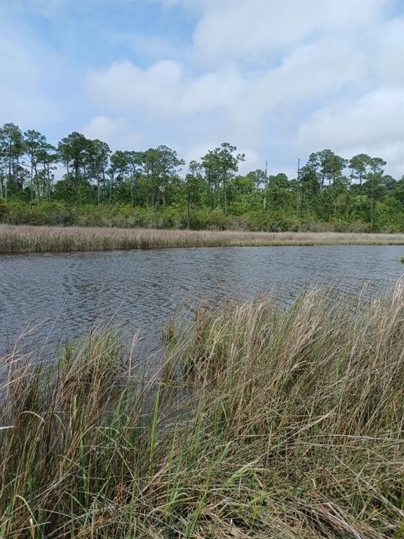 22 Acres, 0 Johnson Road, Coden, AL 36523 Land and Farm