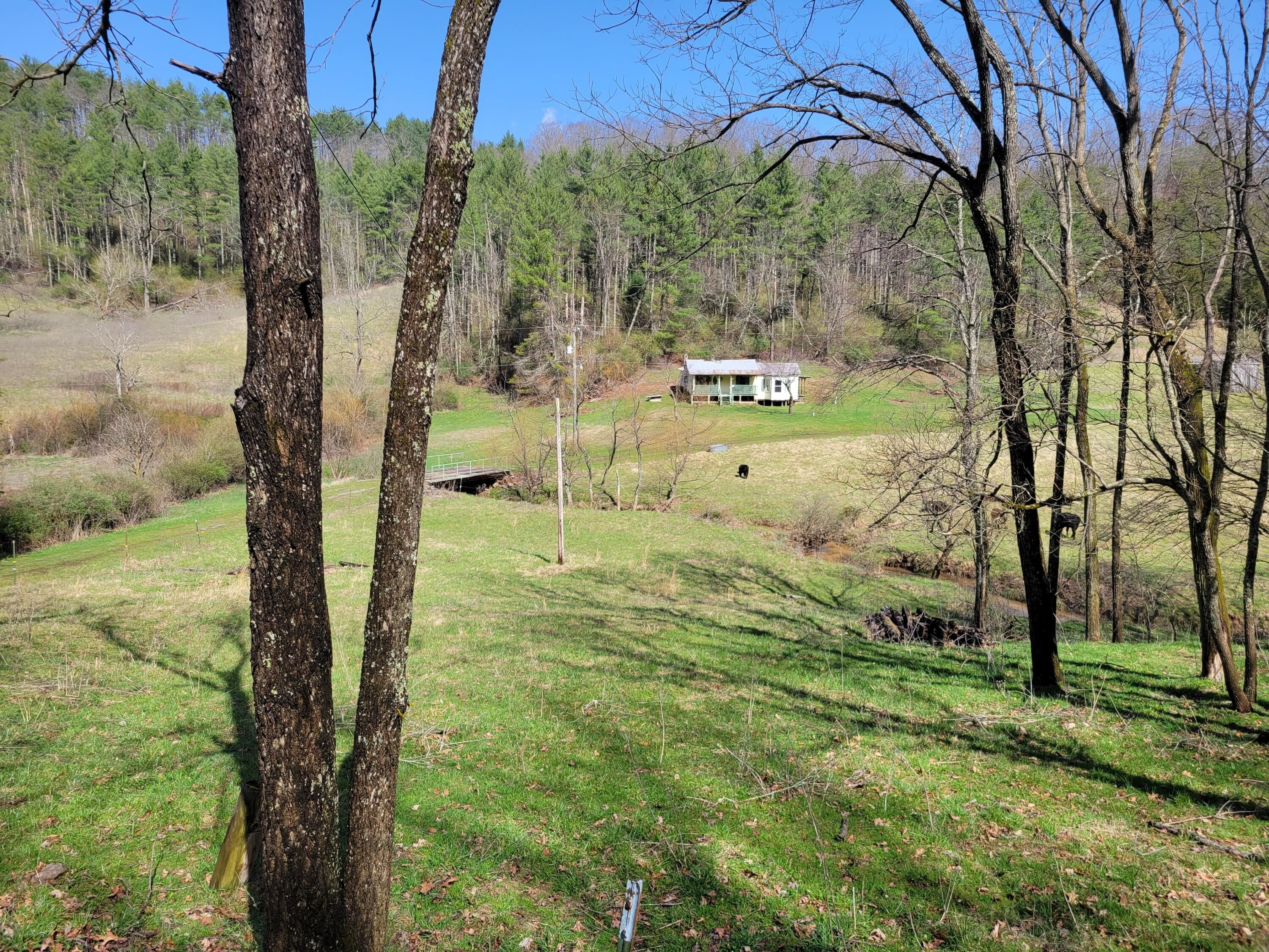 25 Acres, 498 Big Stoney Creek Road, Talcott, WV 25951 Land and Farm