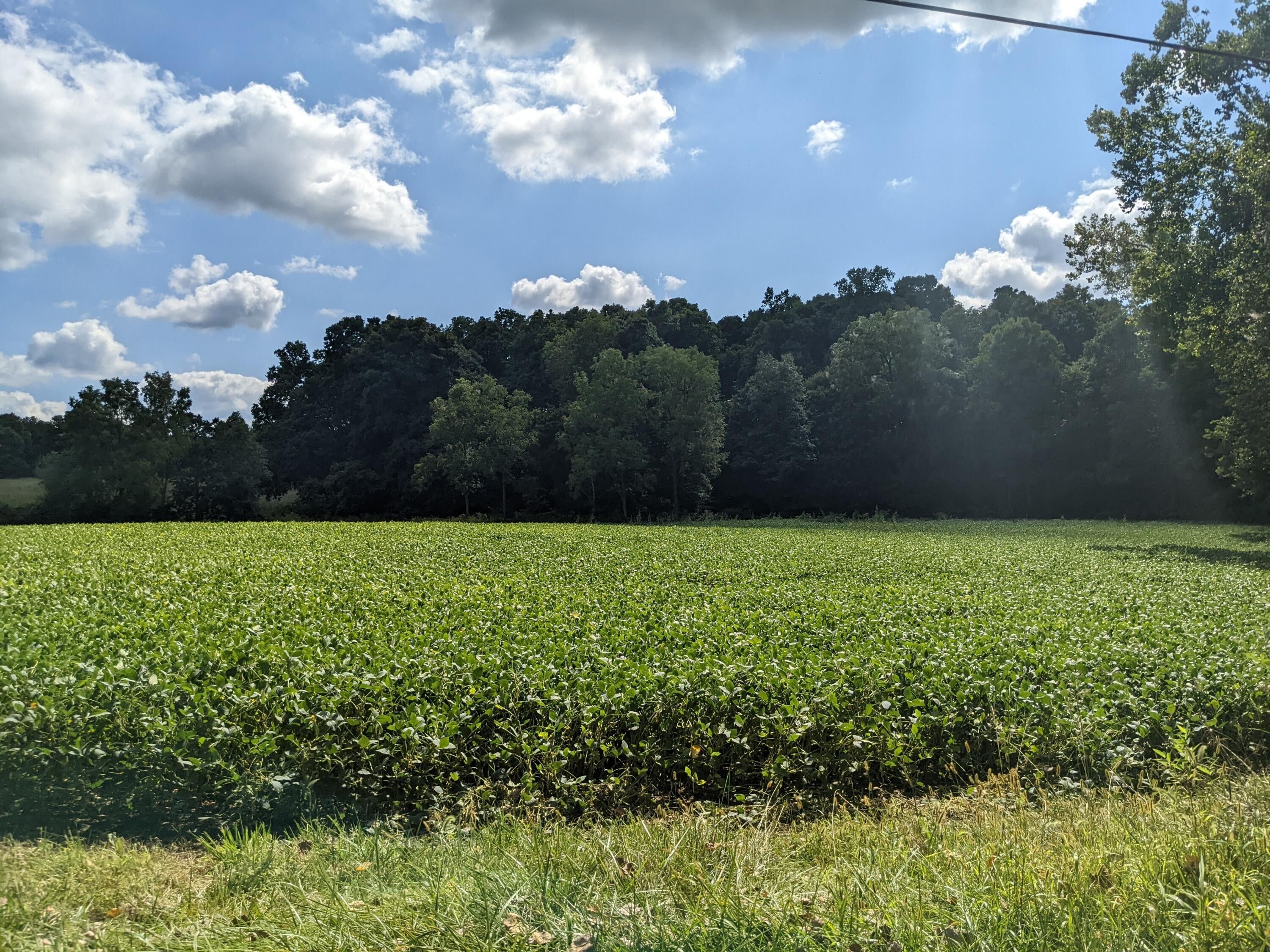 10.01 Acres, 0 N Miami Shelby Road, Piqua, OH 45356 Land and Farm