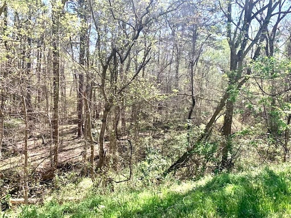 3.63 Acres, 131 N Wilkins Road, Haw River, NC 27258 Land and Farm